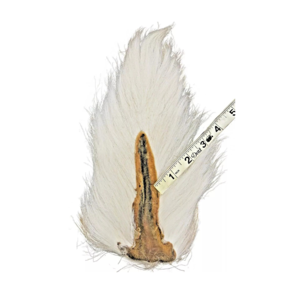 SupplyIt Large Northern Bucktail Natural White Fly Tying Material Deer Hair