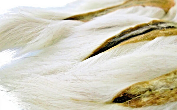 SupplyIt Large Northern Bucktail Natural White Fly Tying Material Deer Hair - Image 4