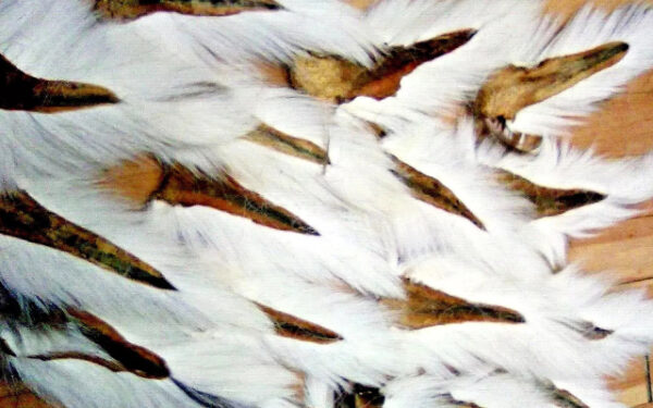 SupplyIt Large Northern Bucktail Natural White Fly Tying Material Deer Hair - Image 5